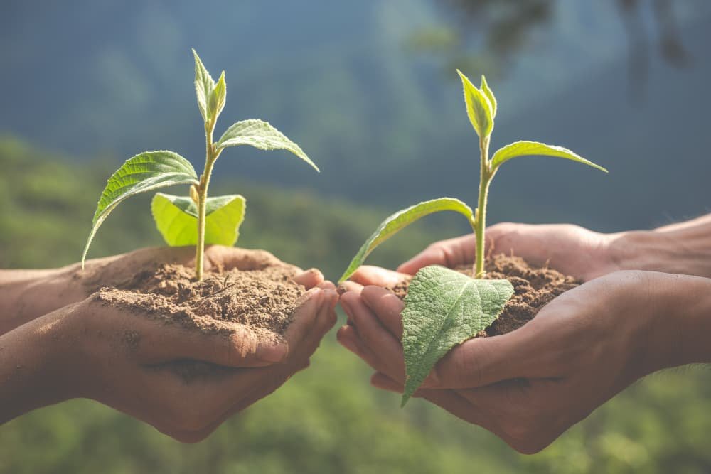 UERGS abre 30 vagas para especialização gratuita em Conservação Ambiental e Turismo Rural - Imagem do artigo