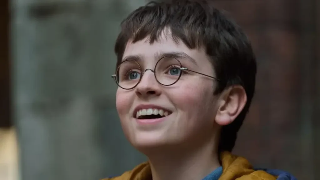 Influenciadores brasileiros lideram boicote à nova série de Harry Potter